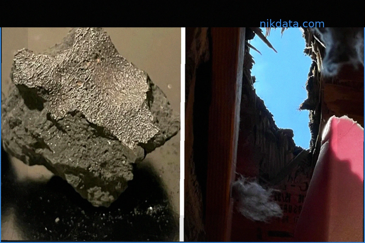 Meteorite's Discovery Offers Clues to Life's Origins