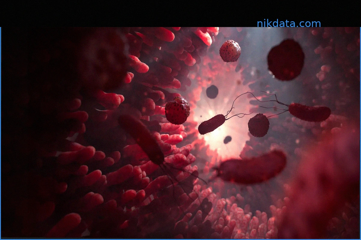 Gut Microbes' Fiber Dependence: When They Turn Inward