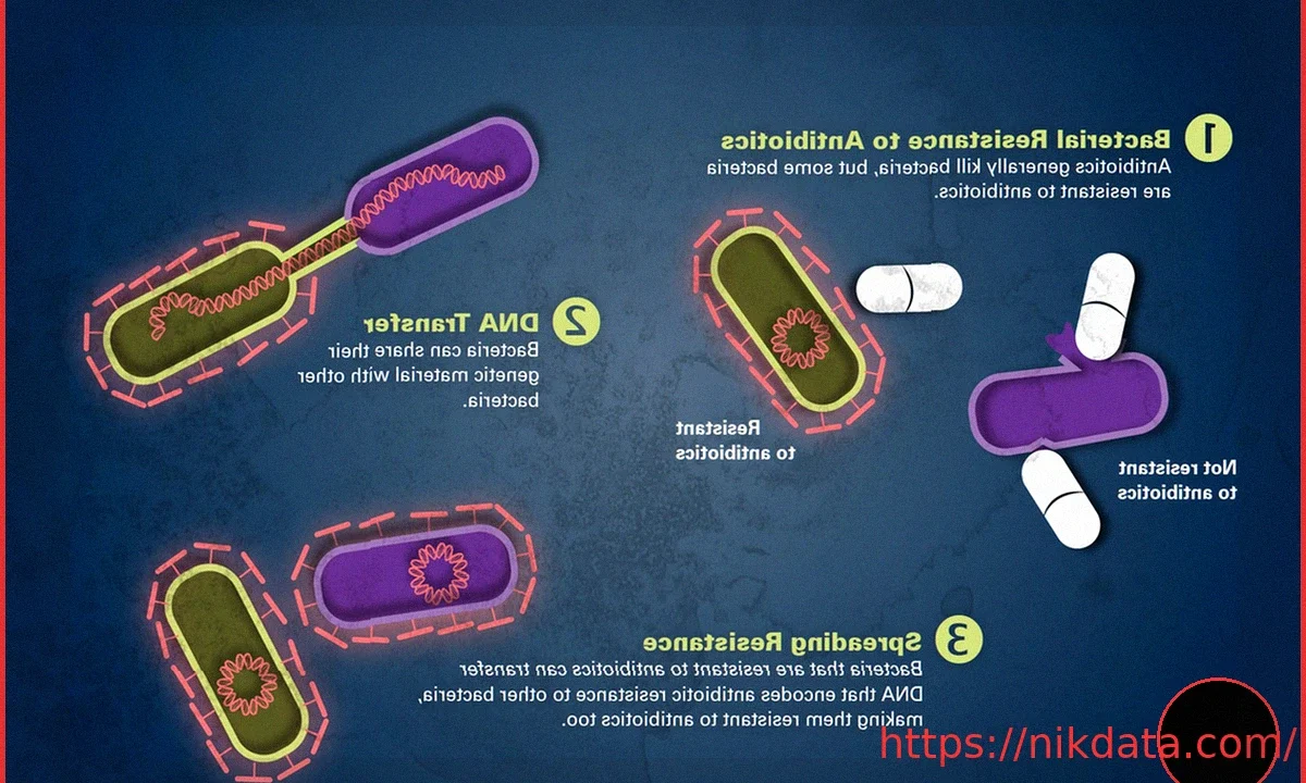 Scientists discover bacteria can “explode” to spread antibiotic resistance